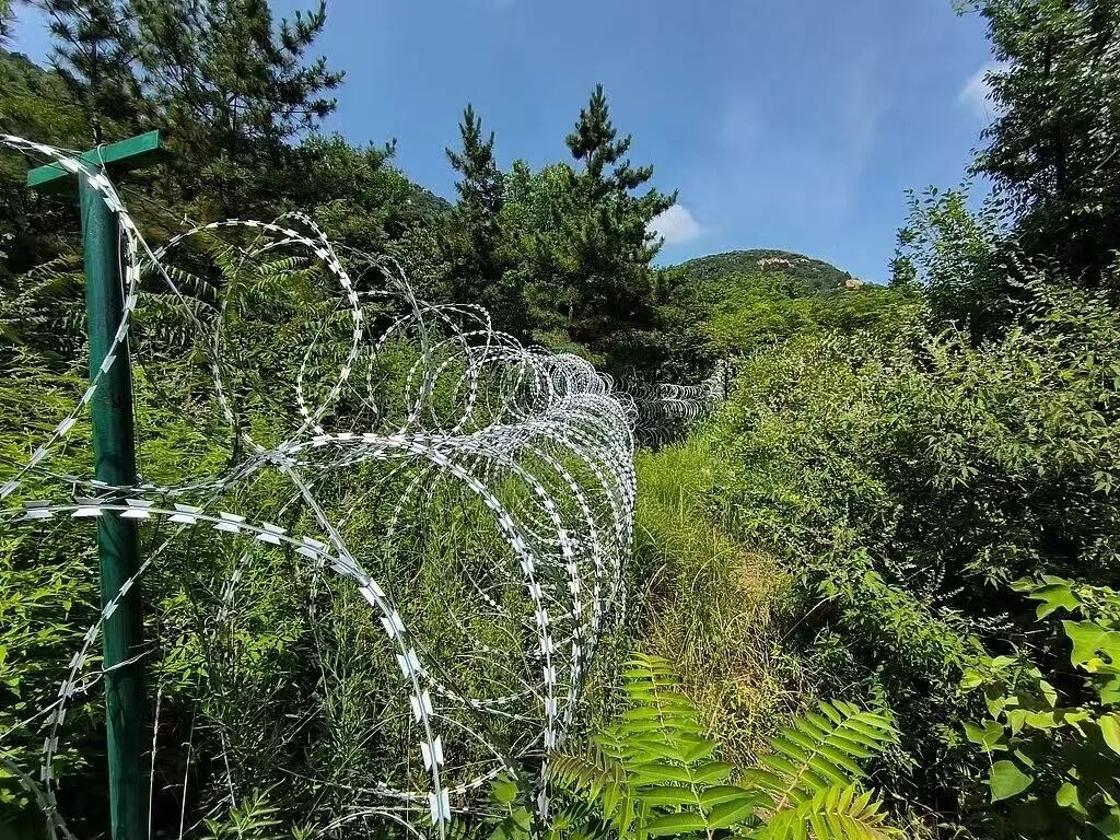 Mount Tai to Remove Controversial Razor-Wire Barriers