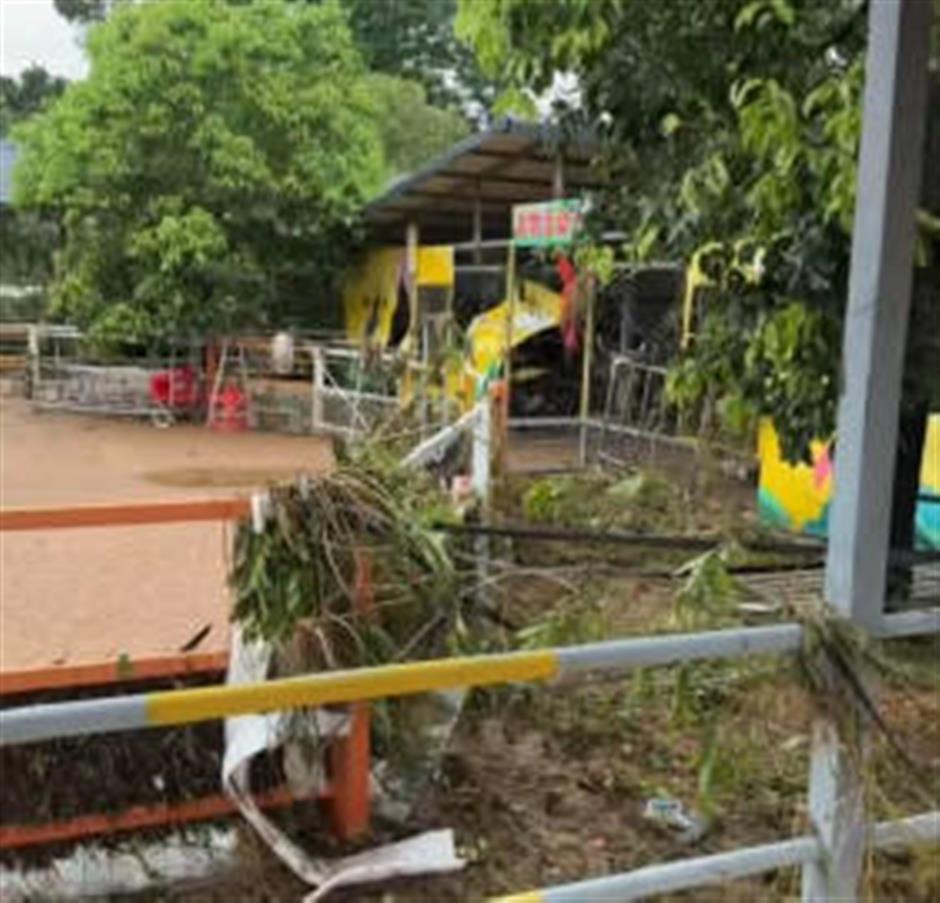Flood Sweeps Away 100 Animals at South China Zoo, Killing 3 Lions