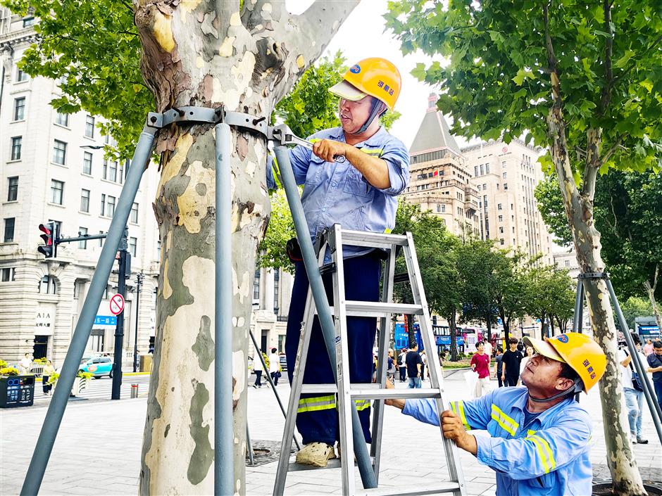 [Quick News] Shanghai Issues Blue Alert for Typhoon Bavi