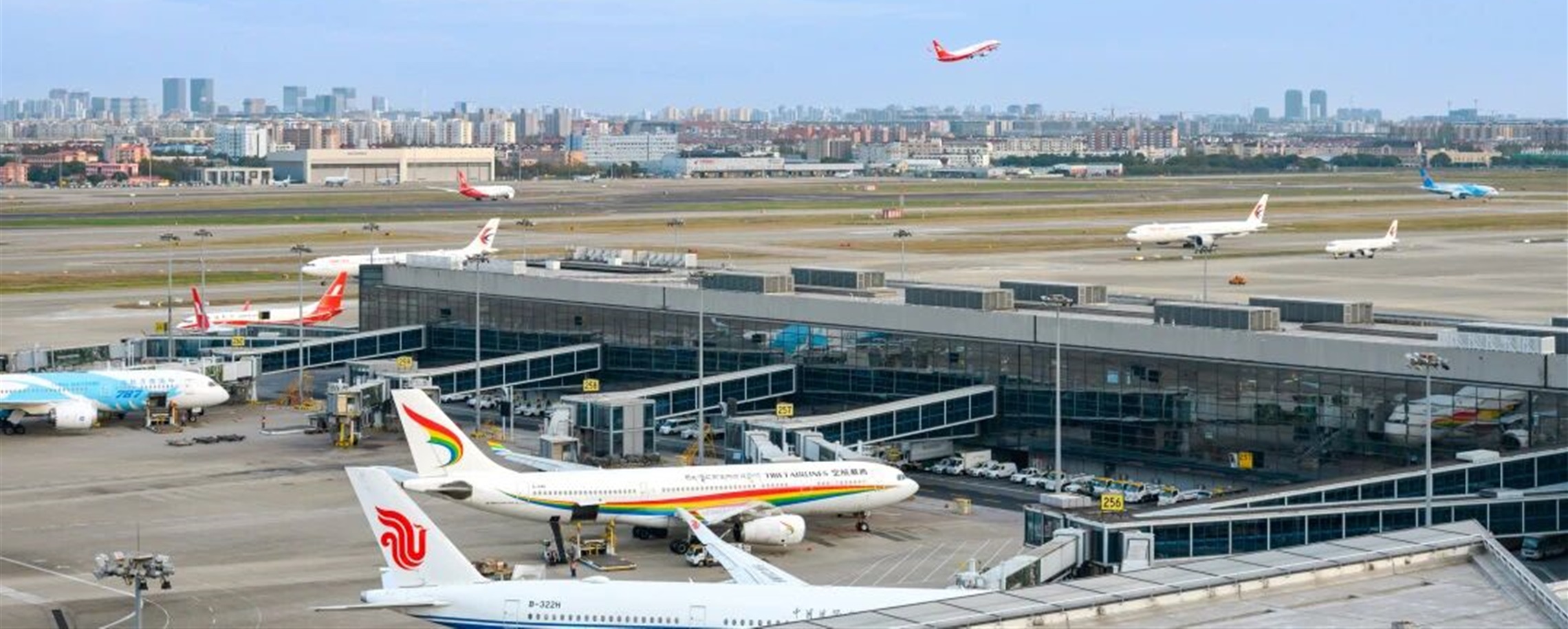 Airlines Offer Free Rebooking, Refunds as Typhoon Bavi Nears