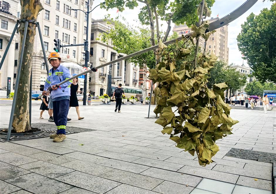 [Quick News] Shanghai Issues Blue Alert for Typhoon Bavi