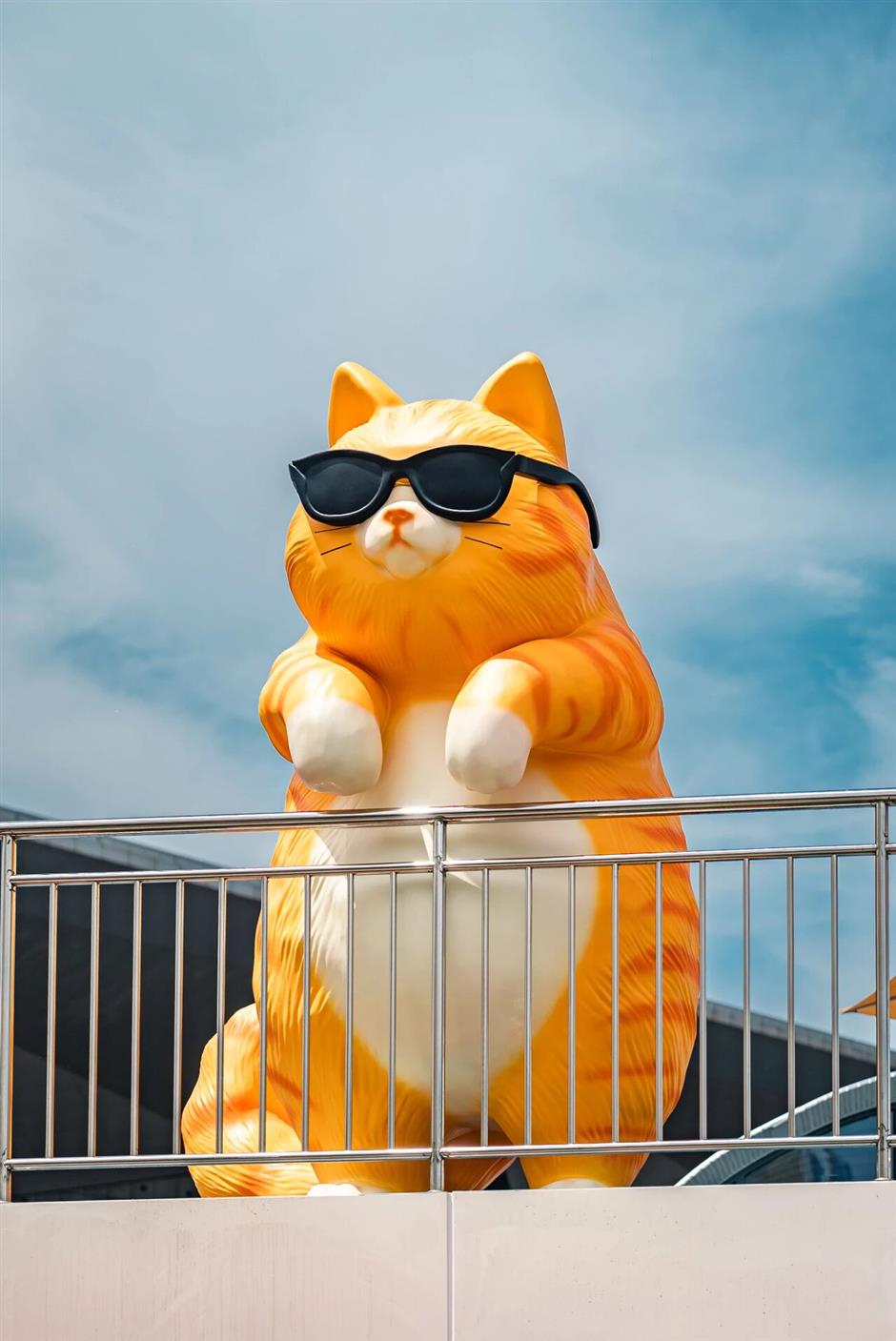 喵!这个夏天,上海全城开启