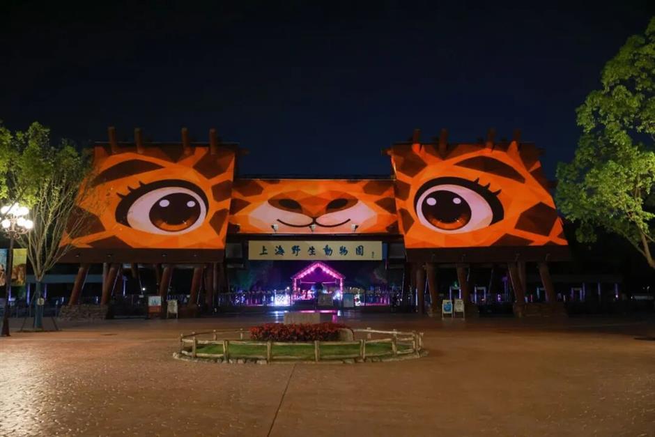 Shanghai Wild Animal Park's 'Night Safari' is Back for the Summer