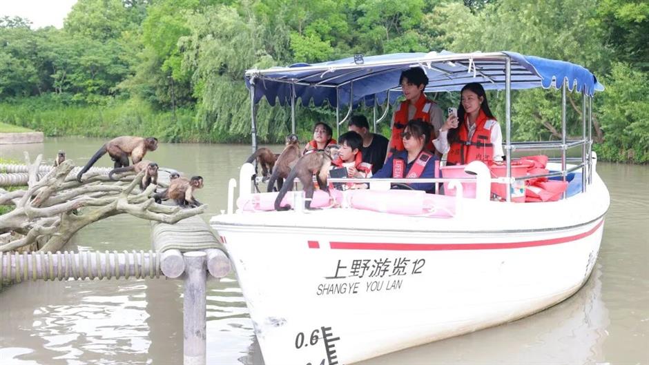 Shanghai Wild Animal Park's 'Night Safari' is Back for the Summer