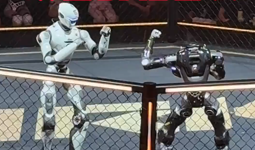 Humanoid Robots Trade Punches in China's 1st Global Fighting League