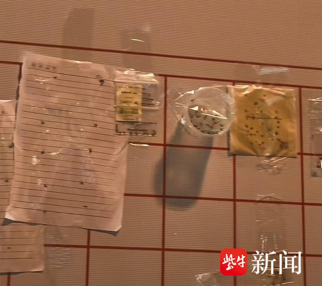 Chinese Malls Offer Milk Tea for Mosquitoes in Viral Summer Promotion