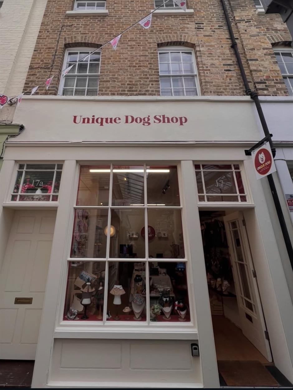 It's a Dog-Eat-Dog Sphere in the Pampered Pets Industry