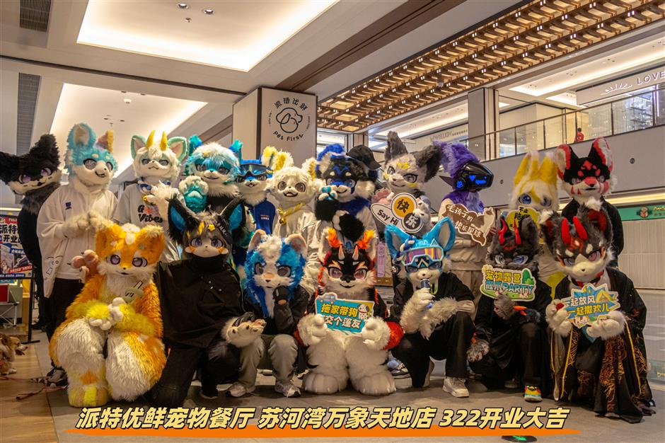 It's a Dog-Eat-Dog Sphere in the Pampered Pets Industry