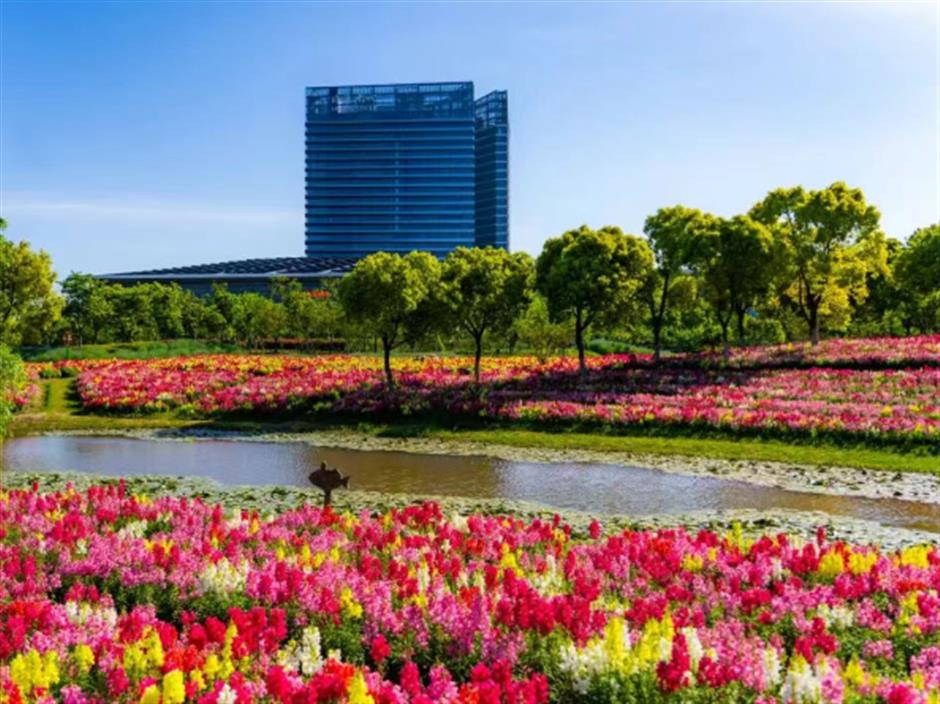 适合夏日的10条漫步路线,临水观景,一路青绿