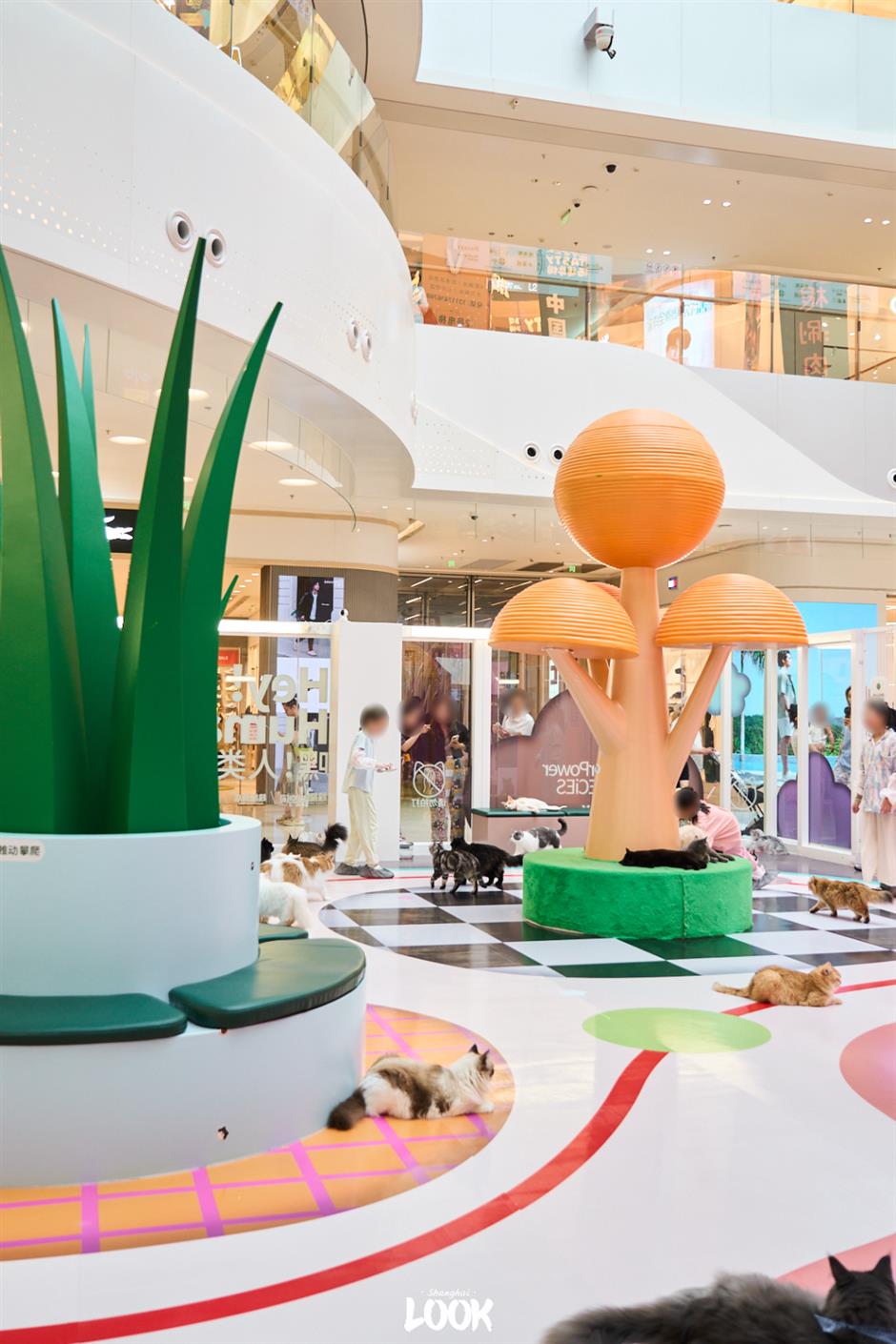 Pop-up Cat Paradise Opens in Shanghai for Feline Lovers