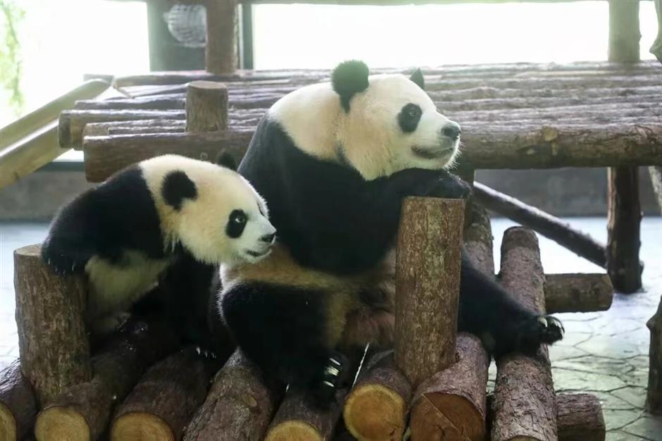 时代少年团演唱会、周末落日派对、外滩马路泼水节......一周文旅生活