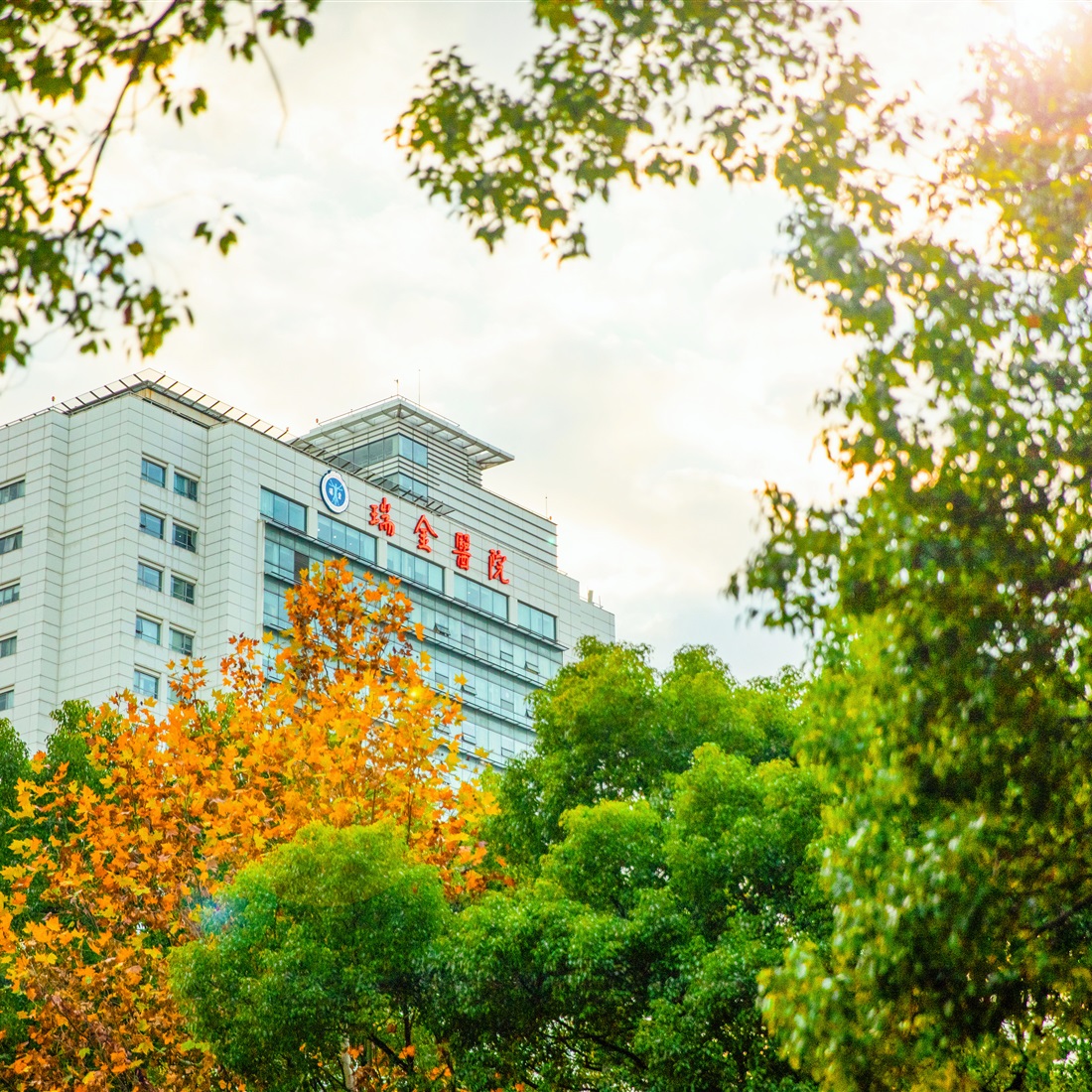[SH Health Guide] Ruijin Hospital
