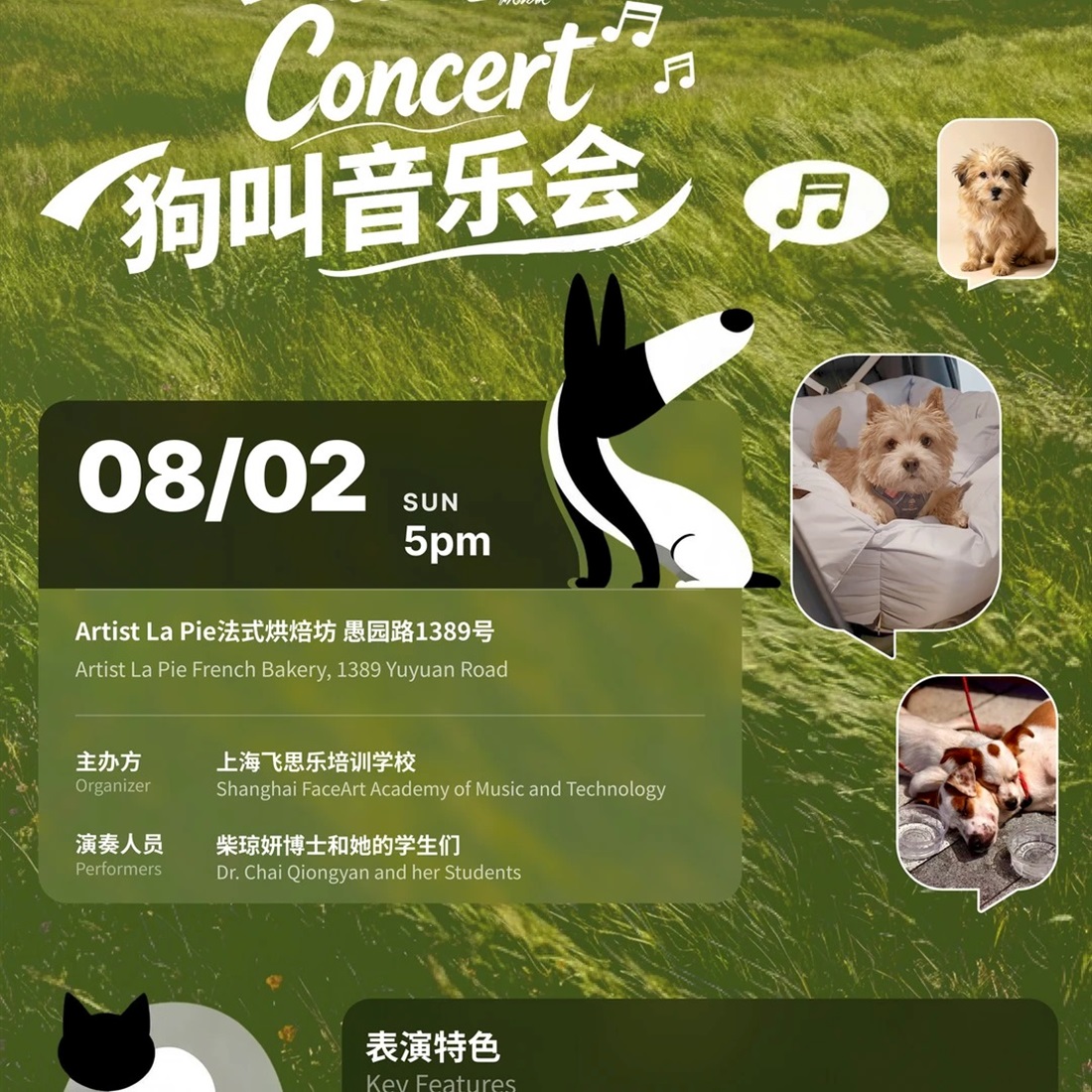 'Bark Concert' Brings Together Music, Puppies and Love