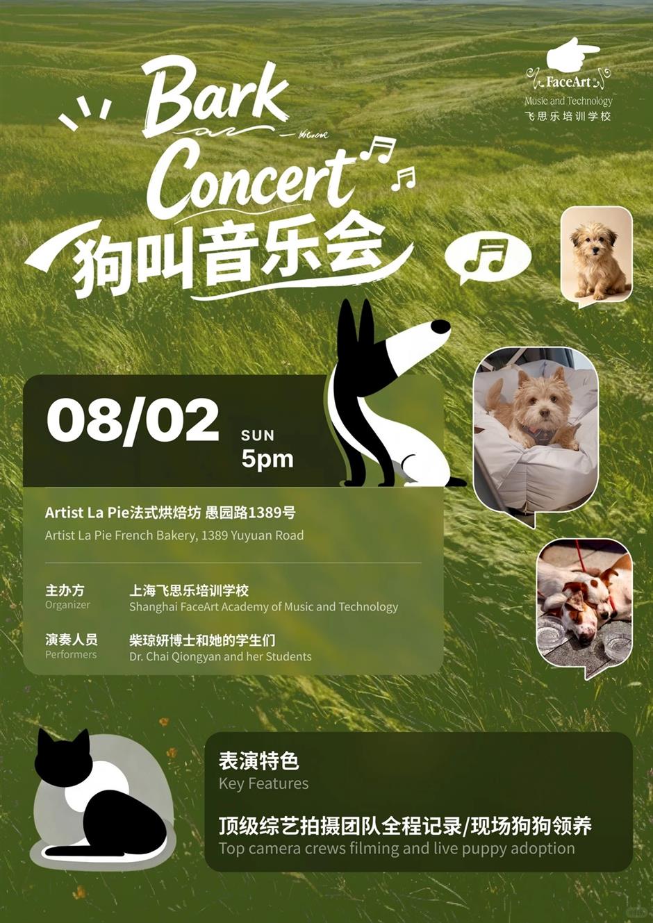 'Bark Concert' Brings Together Music, Puppies and Love