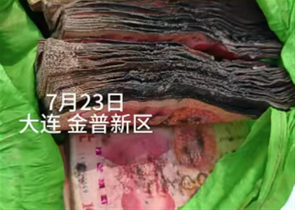 Man Gets 82,000 Yuan Back After Rain and Sun Turn 100,000 Yuan Cash Into Moldy Brick