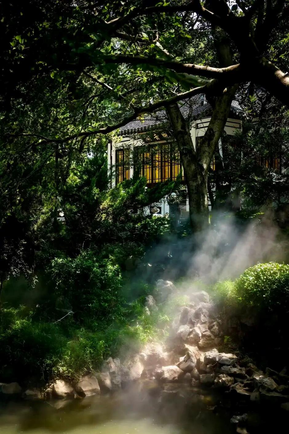 阔别一年!上海百年桂林公园焕新归来