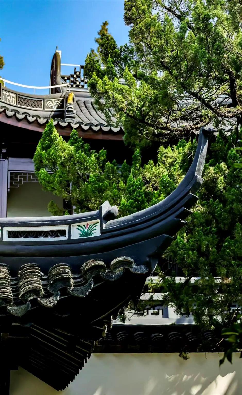 阔别一年!上海百年桂林公园焕新归来