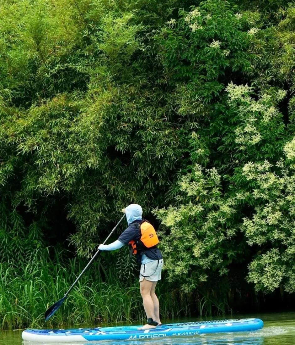 上海10大桨板玩水地,即刻奔赴水上清凉!