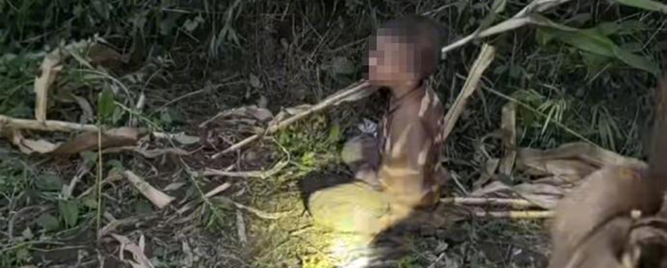 Missing Autistic Boy Found Alive After 4-Day Search in China