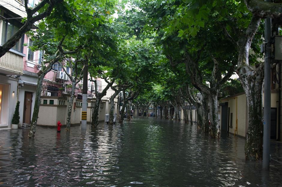 Typhoon Dolphin Floods Shanghai, Forces Mass Evacuations and Transit Suspensions