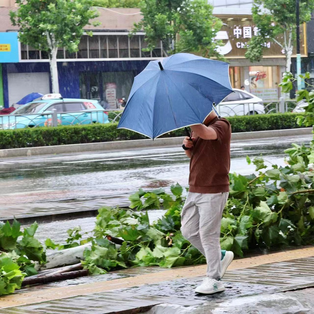 Shanghai Firm Under Scrutiny for Penalizing Employee Over One-Hour Typhoon Leave