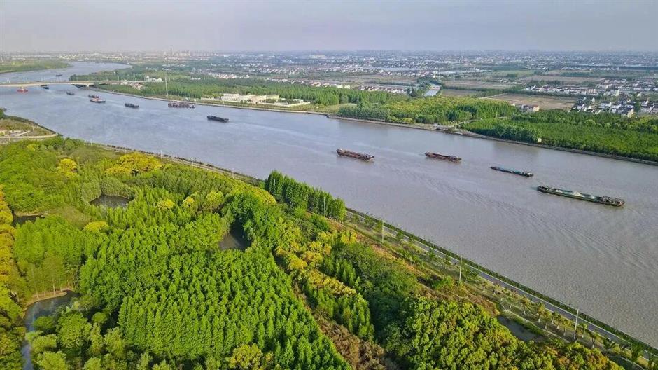 A Leisurely Wander in Songjiang After the Rain