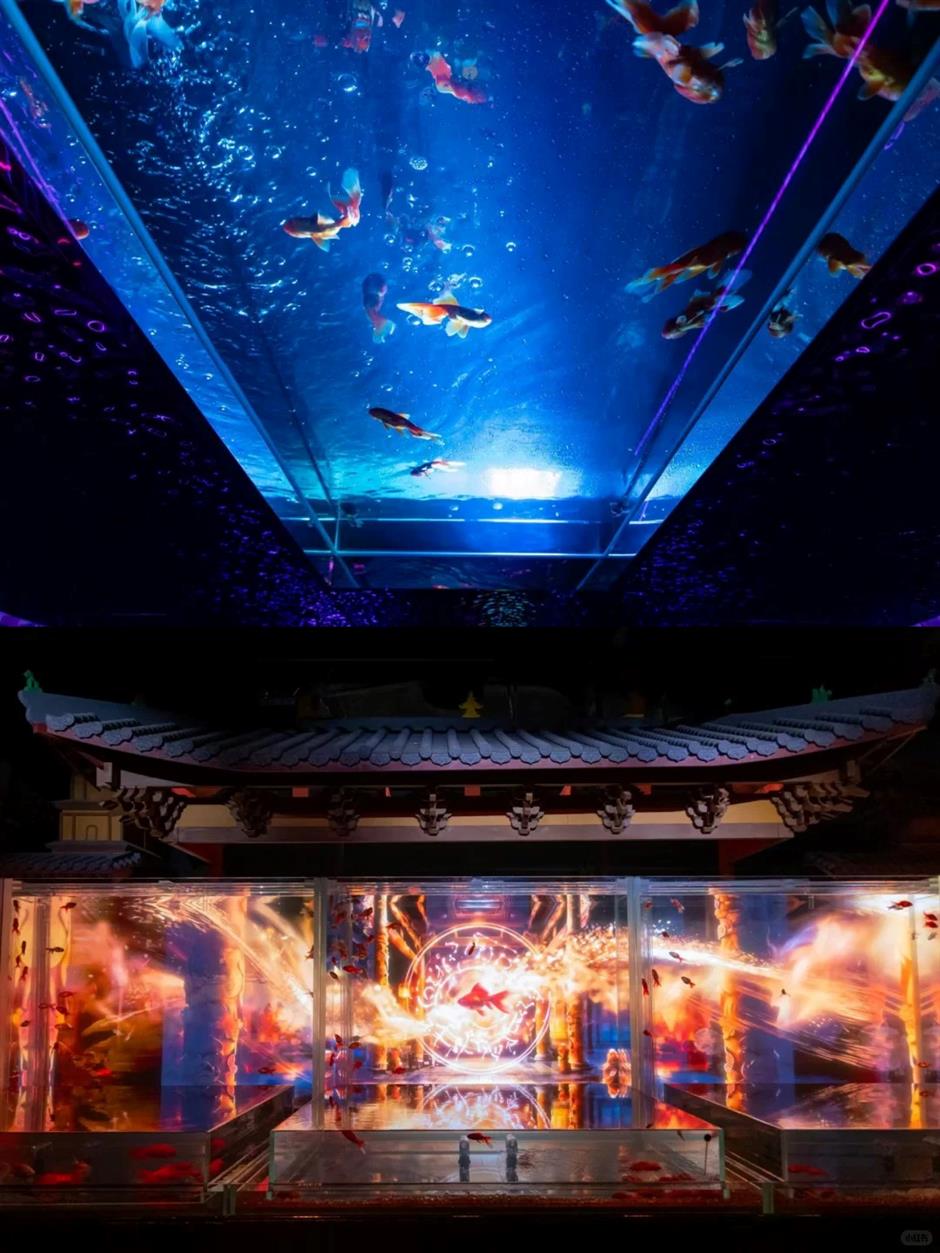 1,000匹の金魚が光の中を舞う!上海で幻想的な「金魚劇場」