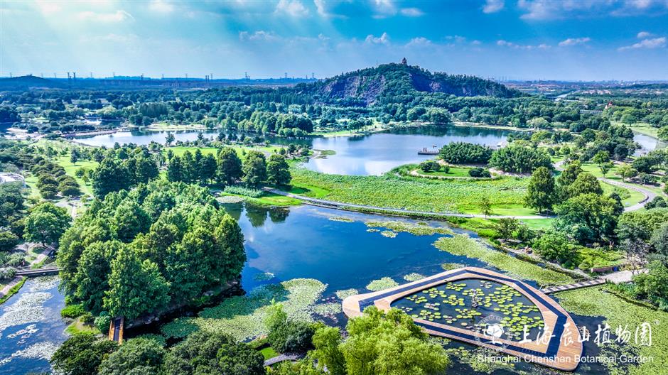 A Leisurely Wander in Songjiang After the Rain