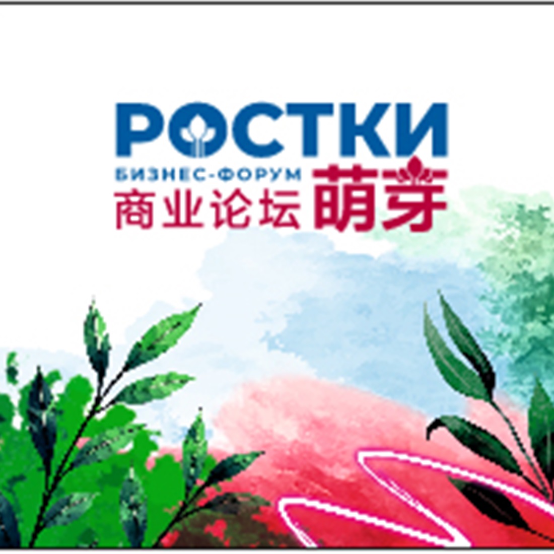 Chinese Business Presence Grows at SPROUTS Forum in Kazan