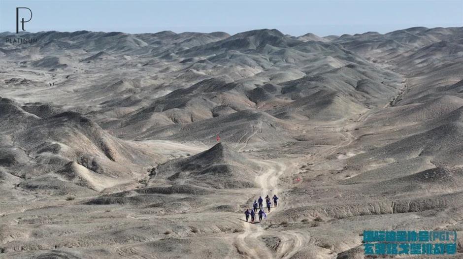 From Green Energy to 'Quiet Luxury': Platinum Forges a New Market in China
