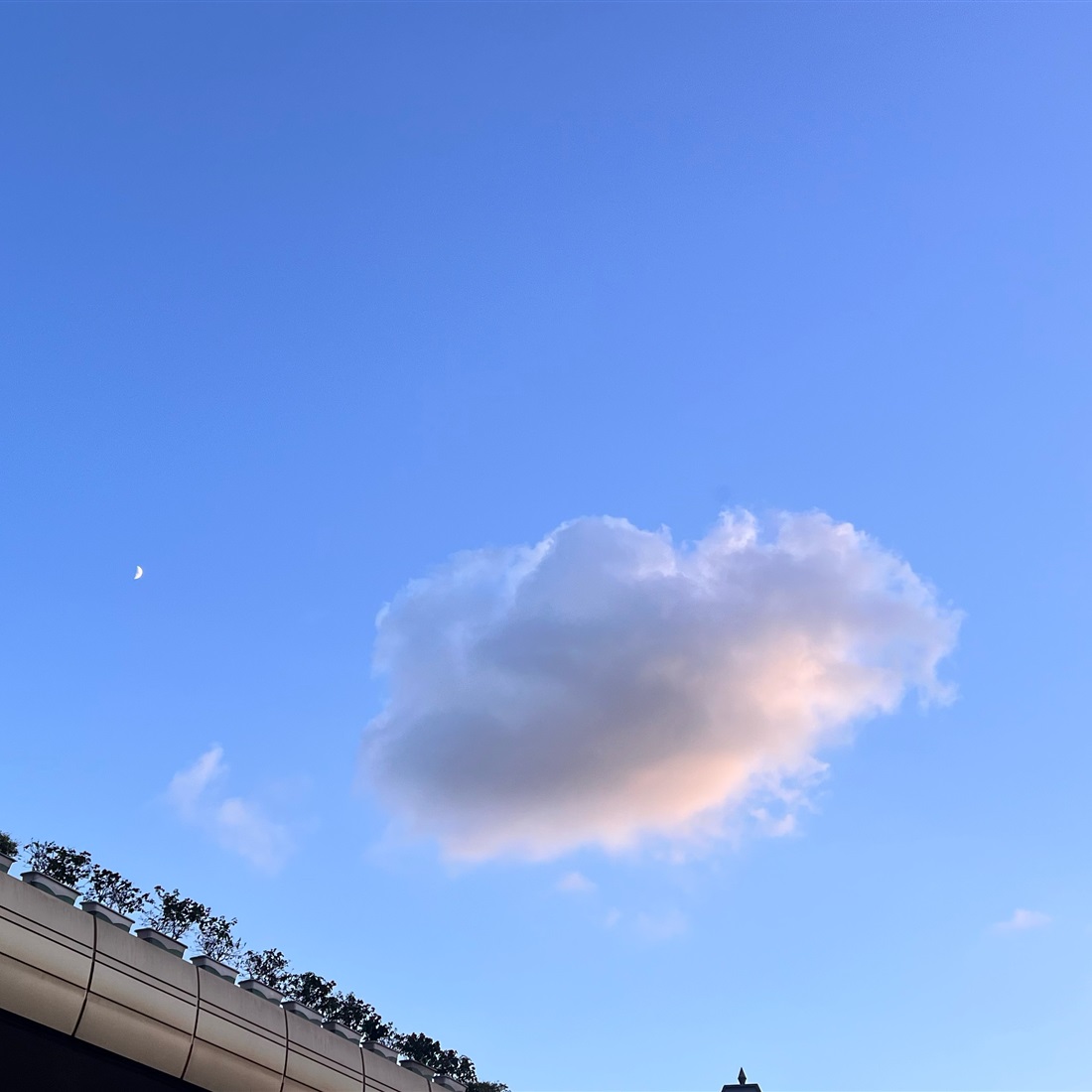 [Chinamaxxing] The Weather We're Having Now Is Called Chushu