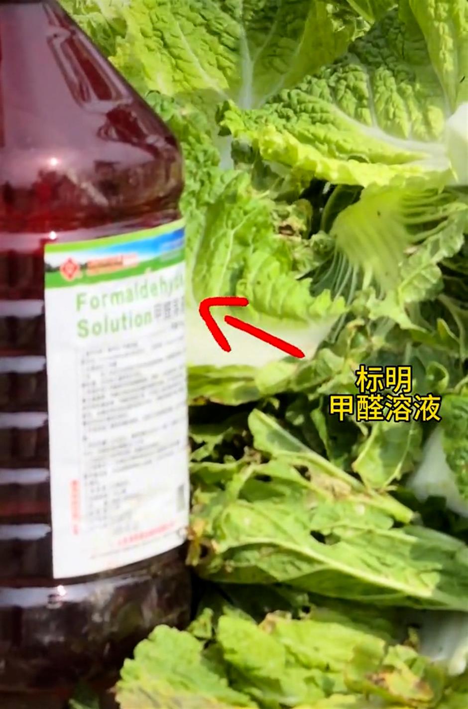 Shanghai Vegetable Wholesaler Steps Up Inspections After Cabbage Formaldehyde Scare
