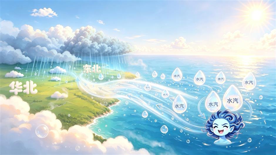 Hello! I am Typhoon – Destructive Yet Serving the Planet Diligently