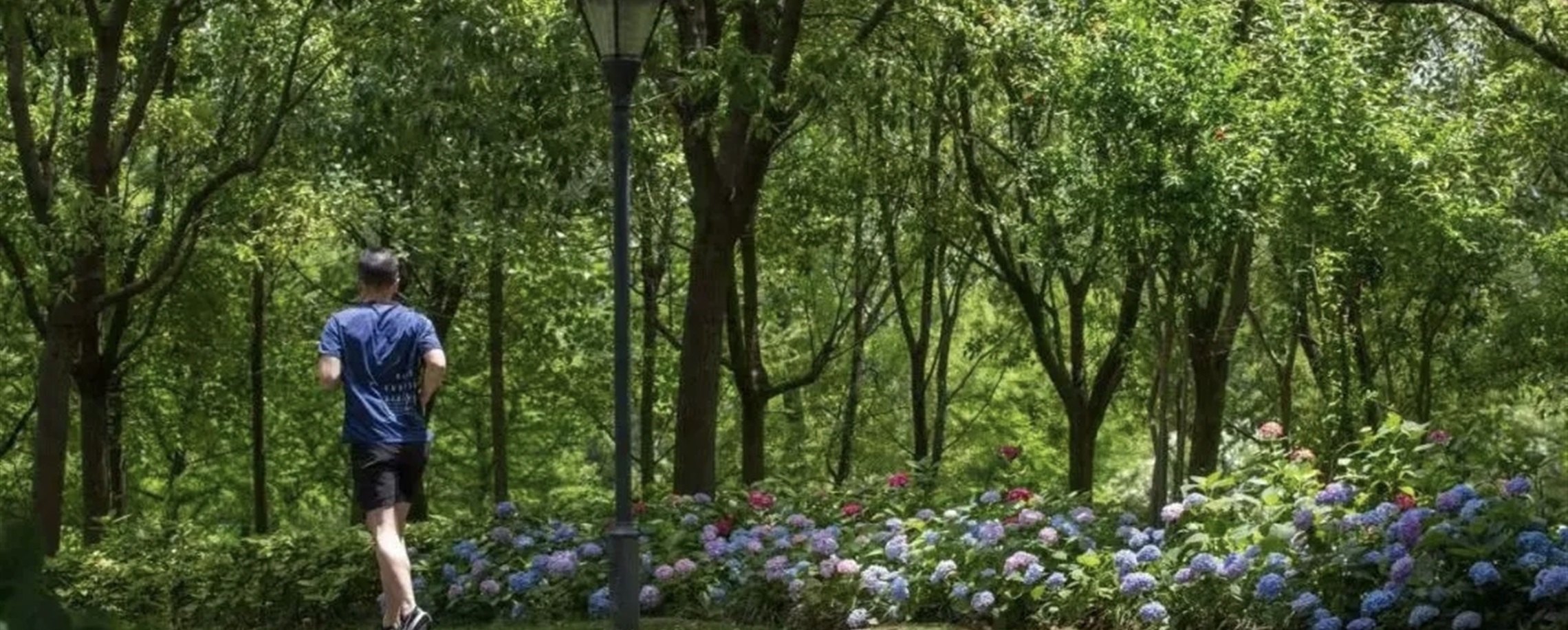Shanghai Maps Out Greener Urban Future Under 15th Five-Year Plan