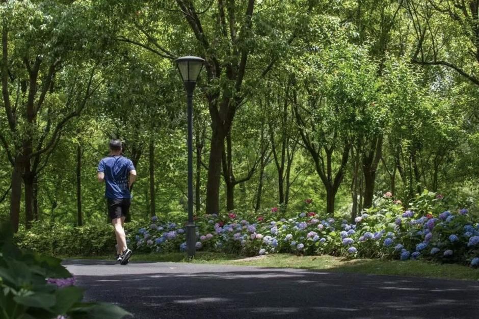 Shanghai Maps Out Greener Urban Future Under 15th Five-Year Plan