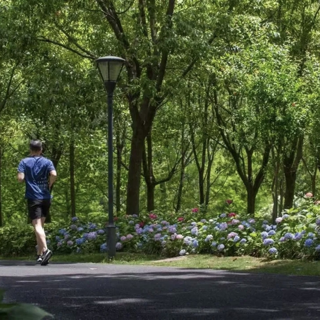 Shanghai Maps Out Greener Urban Future Under 15th Five-Year Plan