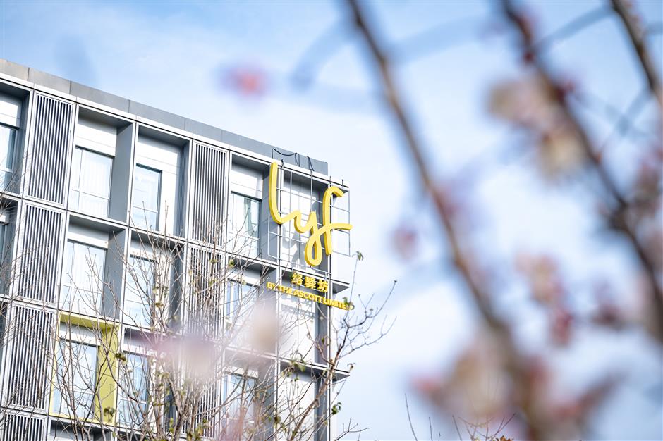 Hongqiao's Five-Year Plan Aims to Turn Hub Into Global Business Magnet