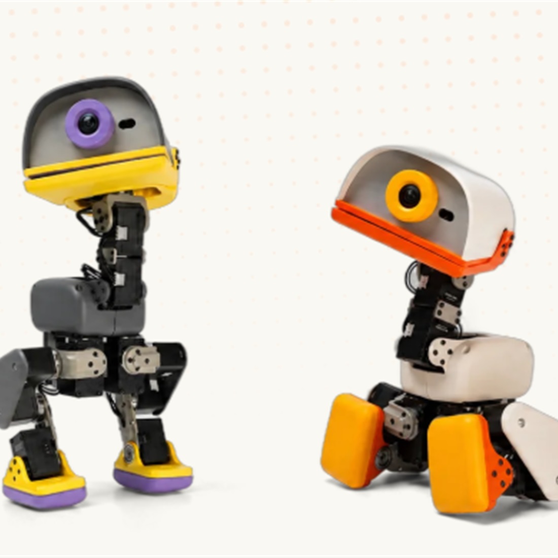 Hugging Face's US$399 Robot Duck Sells Out as Chinese Supply Chain Draws Investor Attention