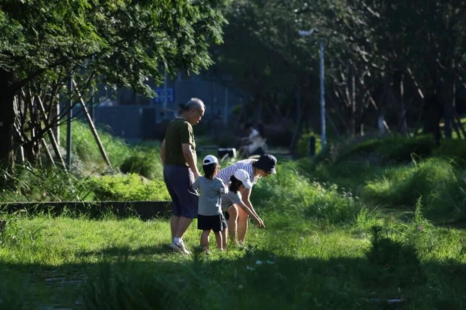 免费试运行!这条800米长的漫游线可以看什么?