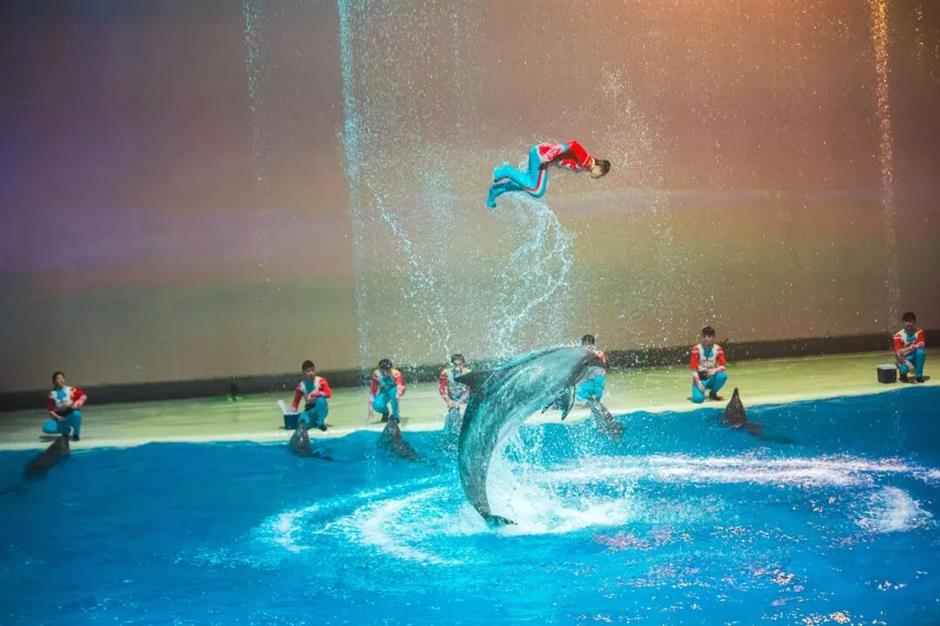 上海旅游节经典活动季六大主题170项活动等你来体验!
