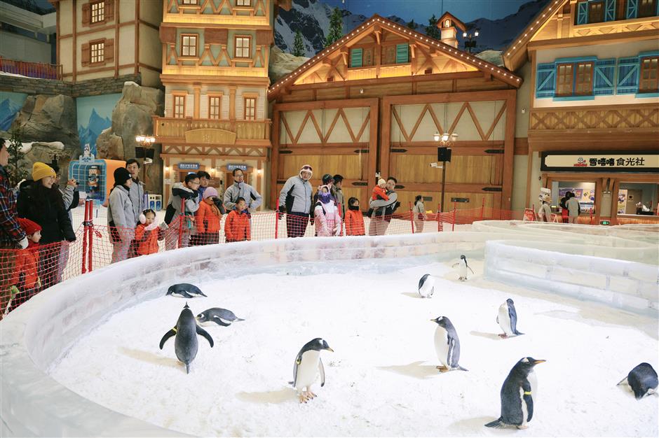 Skiing Resort Unveils Festive Events on Second Anniversary