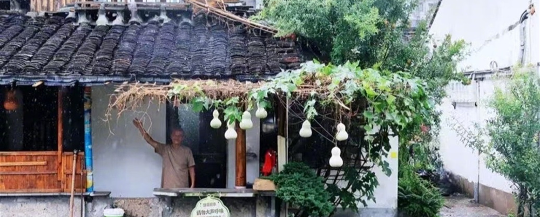 Viral 'Calabash Grandpa' Cuts Down Gourds After Tourist Crowds Overwhelm Home