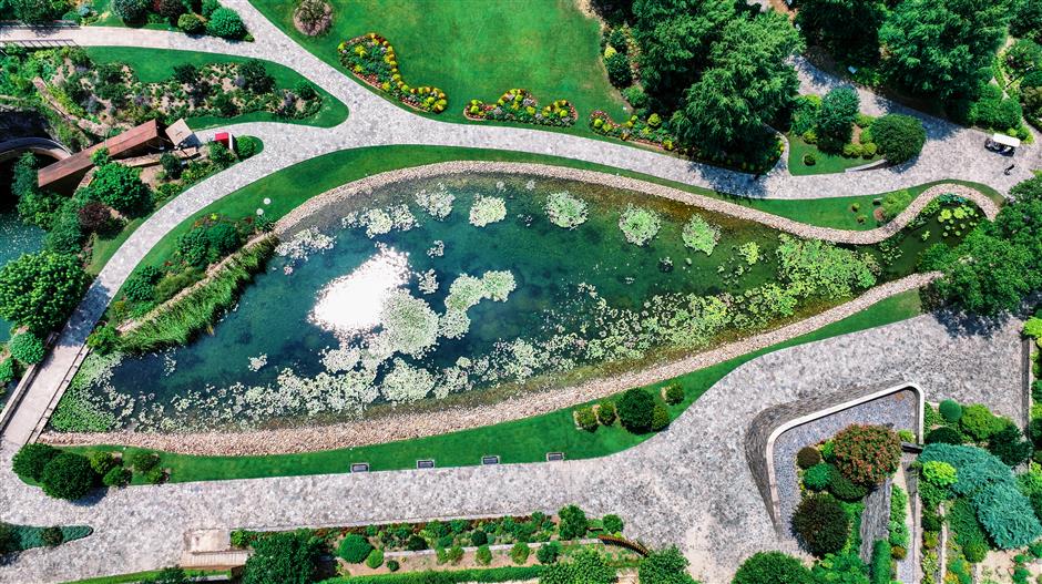 Water Lily Exhibition Blooms at Chenshan Botanical Garden