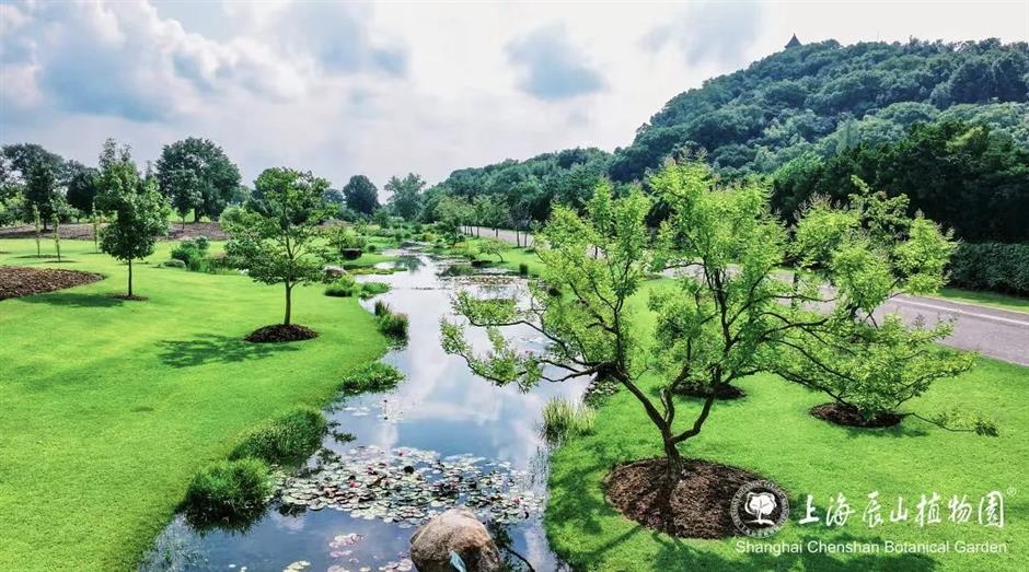 这里的秋天藏不住了!夜游、睡莲、潮玩、童话一次集齐