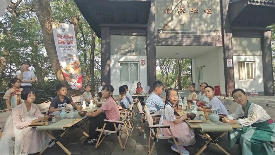 这里的秋天藏不住了!夜游、睡莲、潮玩、童话一次集齐
