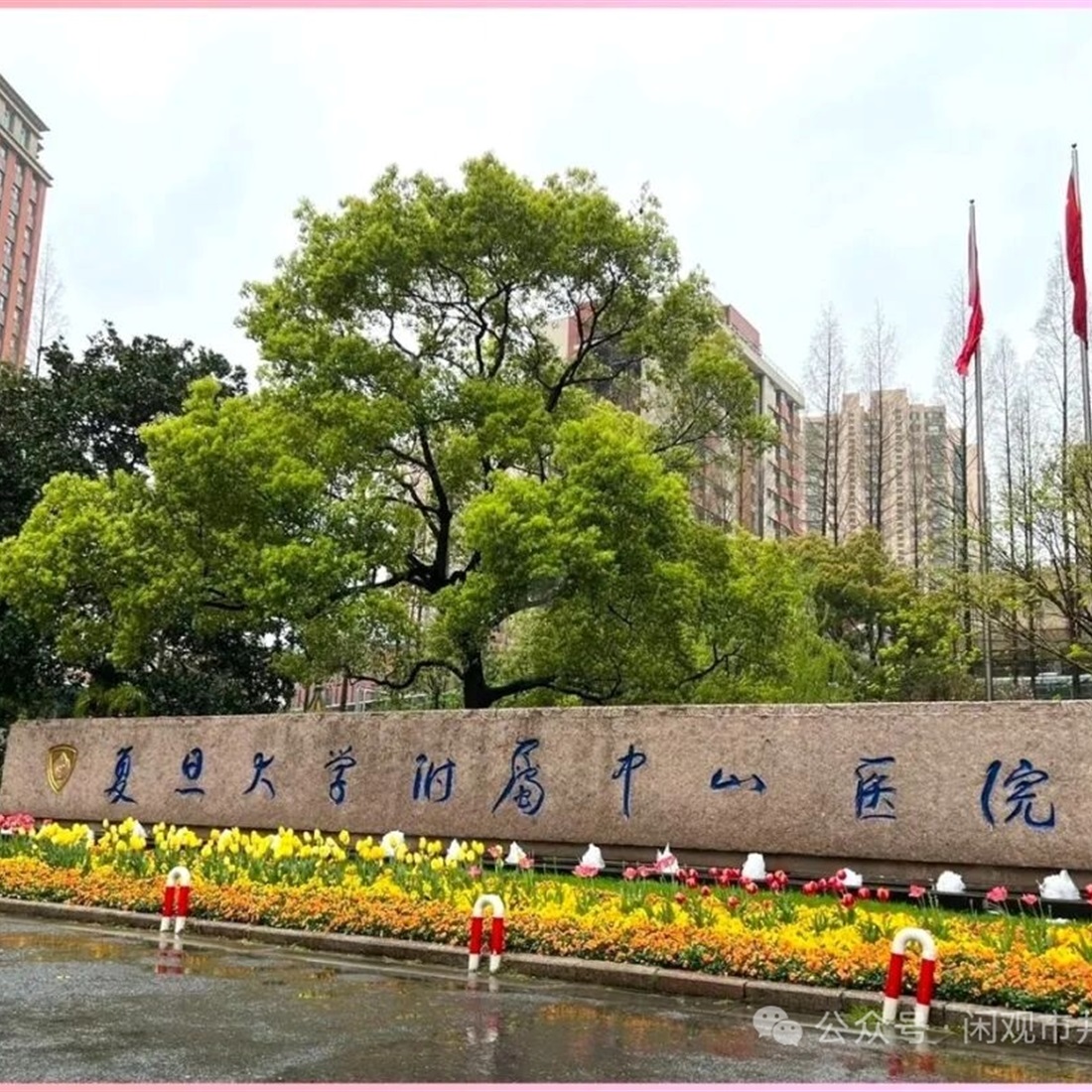 [SH Health Guide] Zhongshan Hospital