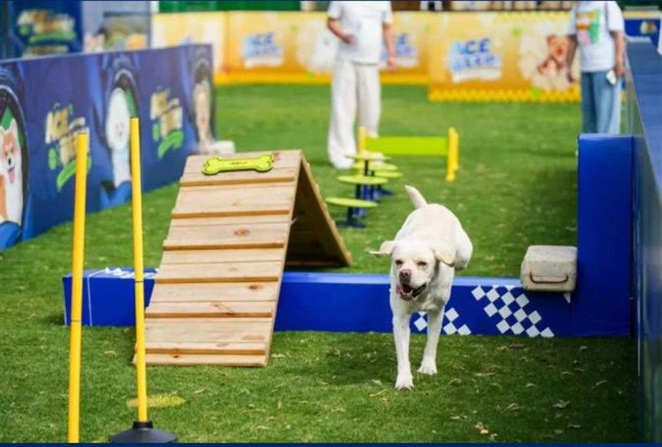 Shanghai Rolex Masters Goes Pet-Friendly as 'ACE Wonderland' Returns