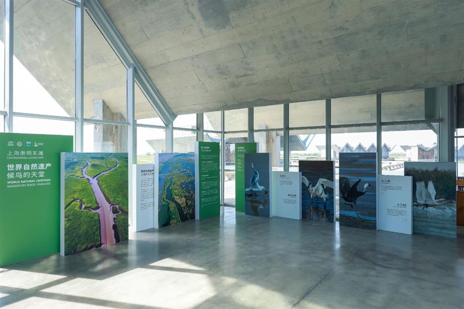 Dongtan Ecological Digital Governance Center in Chongming Begins Operations