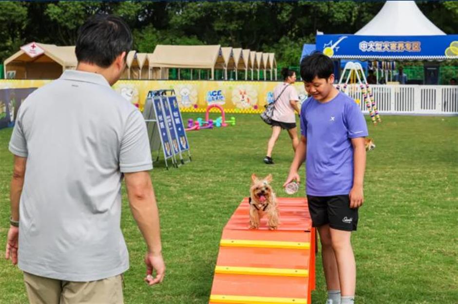 Shanghai Rolex Masters Goes Pet-Friendly as 'ACE Wonderland' Returns