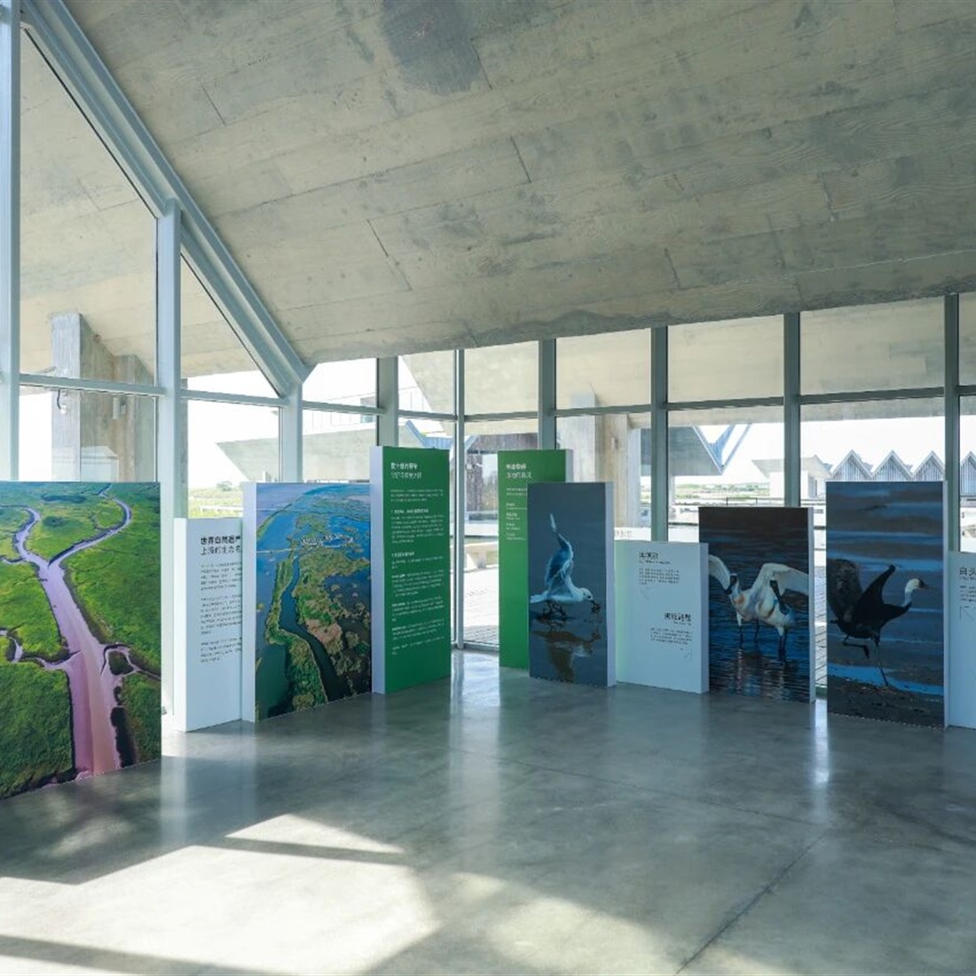 Dongtan Ecological Digital Governance Center in Chongming Begins Operations